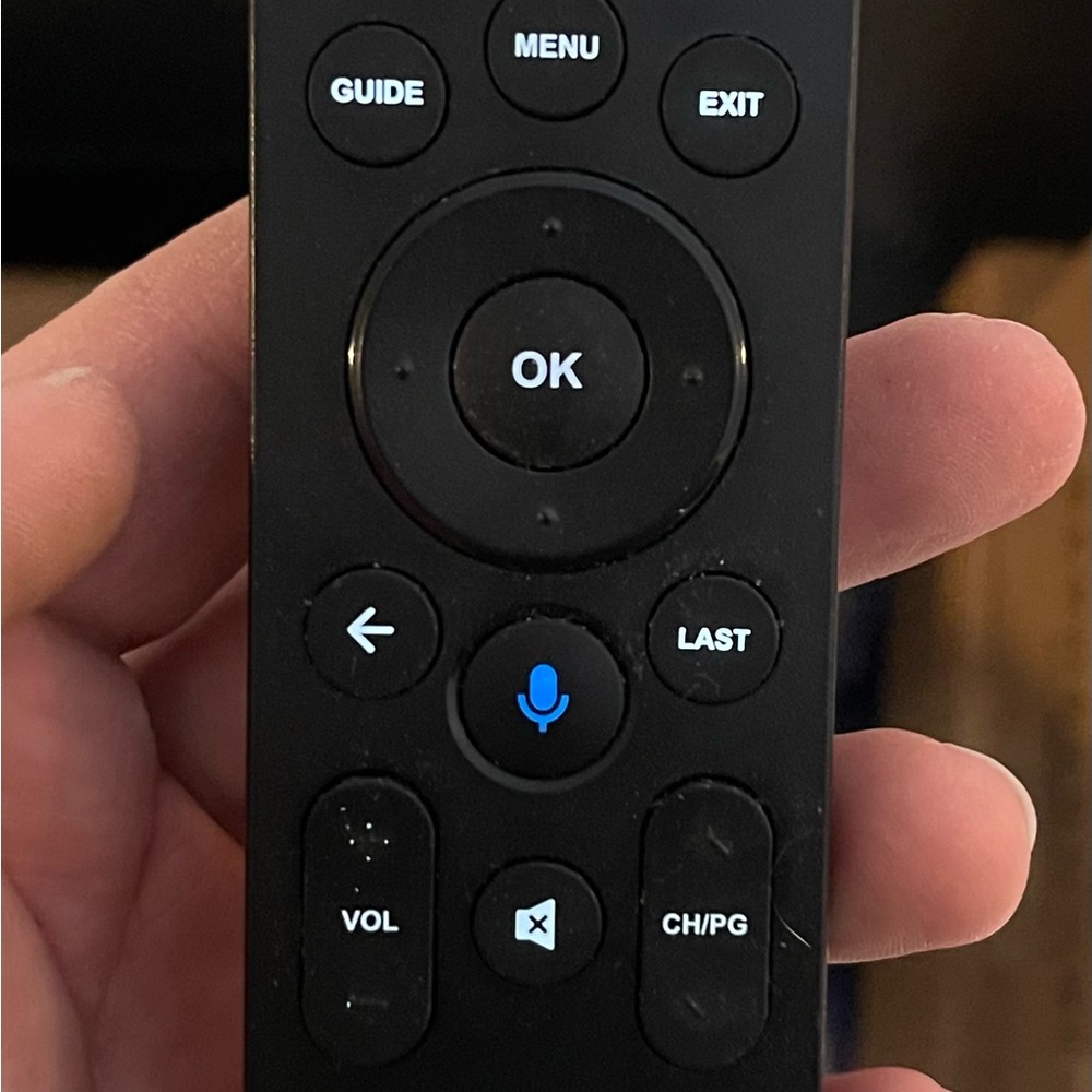 Black Remote Control with Voice Command